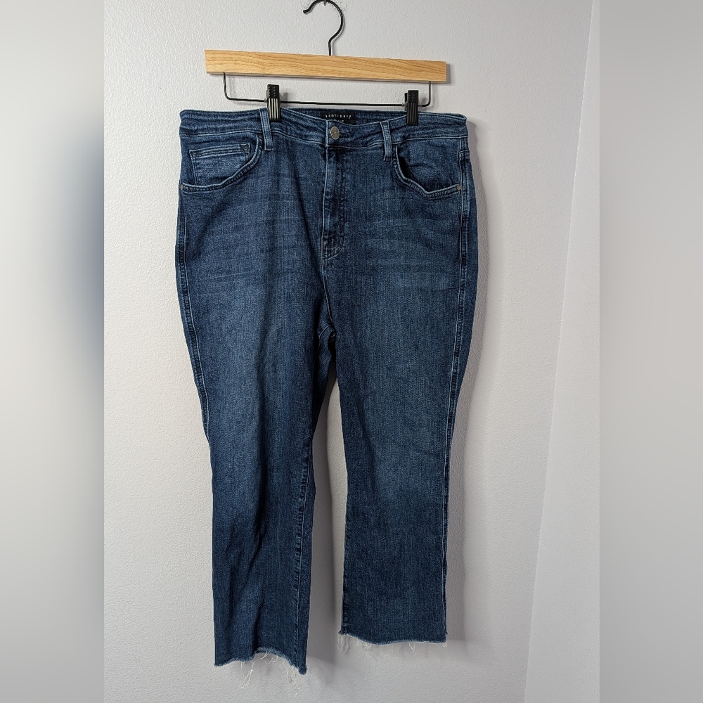 Sanctuary Denim 14W Modern Straight Crop High Rise‎ Jeans